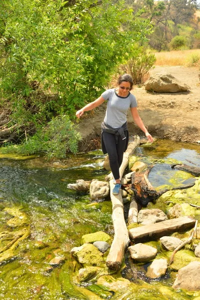 DSC_6537 (Large).JPG